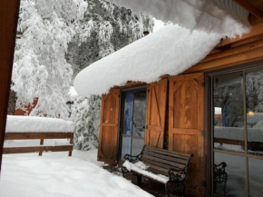 Cabaña en Termas de Chillán